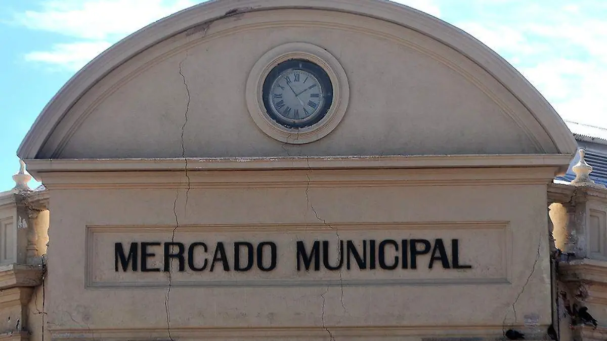 Mercado municipal 10